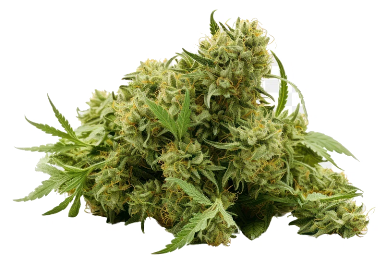 Cannabis Product